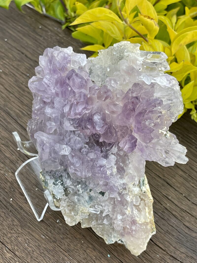 This is Gorgeous Rare Amethyst Flower Plate for Spiritual Growth and Serenity