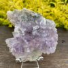 This is Gorgeous Rare Amethyst Flower Plate for Spiritual Growth and Serenity