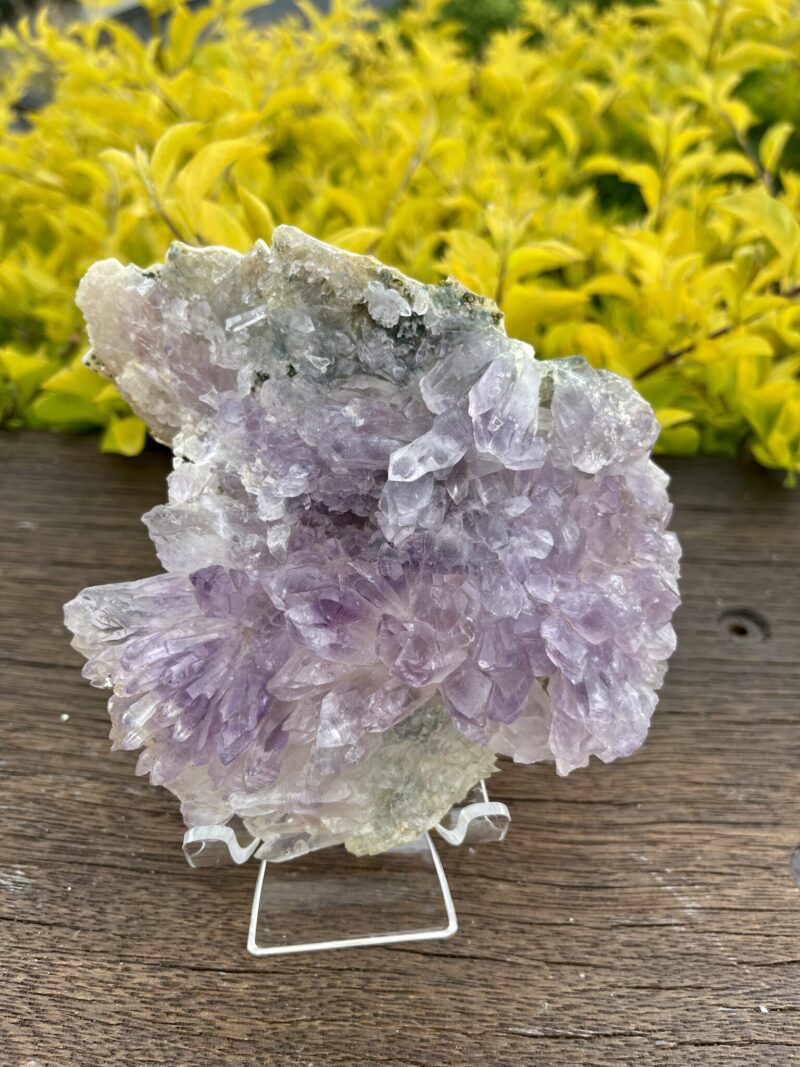 This is Gorgeous Rare Amethyst Flower Plate for Spiritual Growth and Serenity