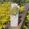 This is Stunning Water Clear AAA Rare Clear Quartz Generator – Amplifying Pure Divine Light a