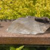 this is Rare Naica Selenite Specimen 2kg – High-Frequency Stone of Clarity and Joy 