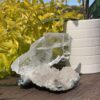 This is Rare Raw Naica Selenite Specimen from Mexico 582gsm