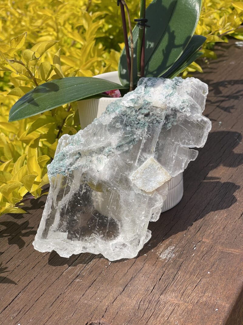 This is the High-Frequency Naica Selenite from Cave of Crystals 722gsm