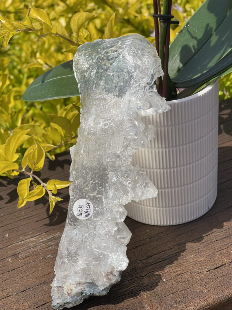 This is Rare Authentic Naica Selenite Specimen 518gsm