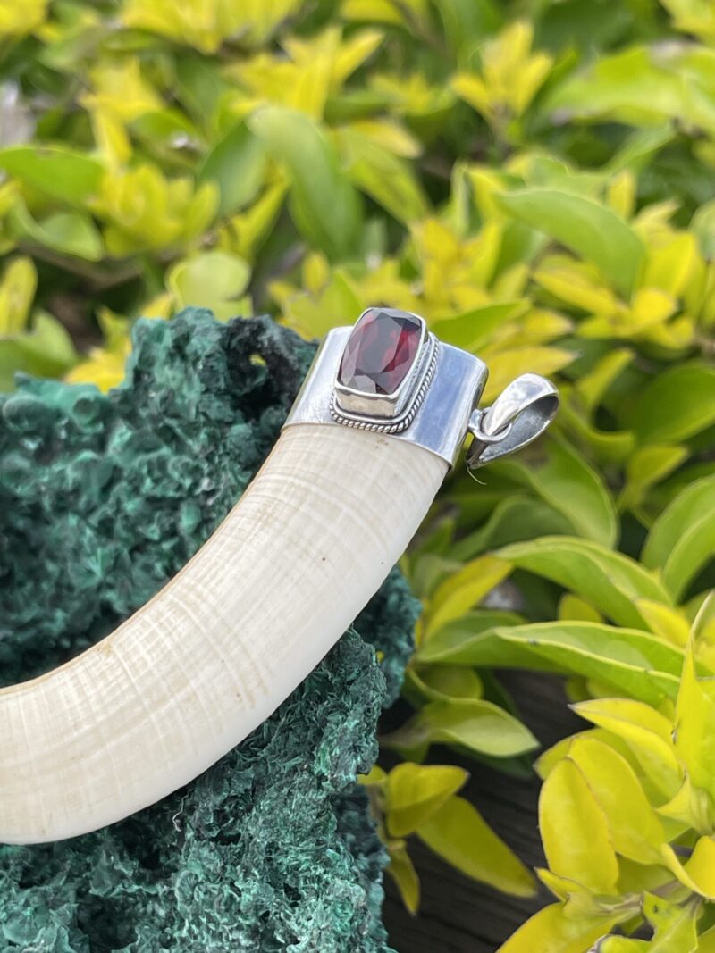 This is Powerful Boar Tusk Pendant with 925 Silver and Garnet