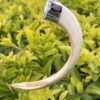 This is Powerful Boar Tusk Pendant with 925 Silver and Garnet