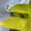 This is Beautiful Square Silver Peridot Stud Earrings