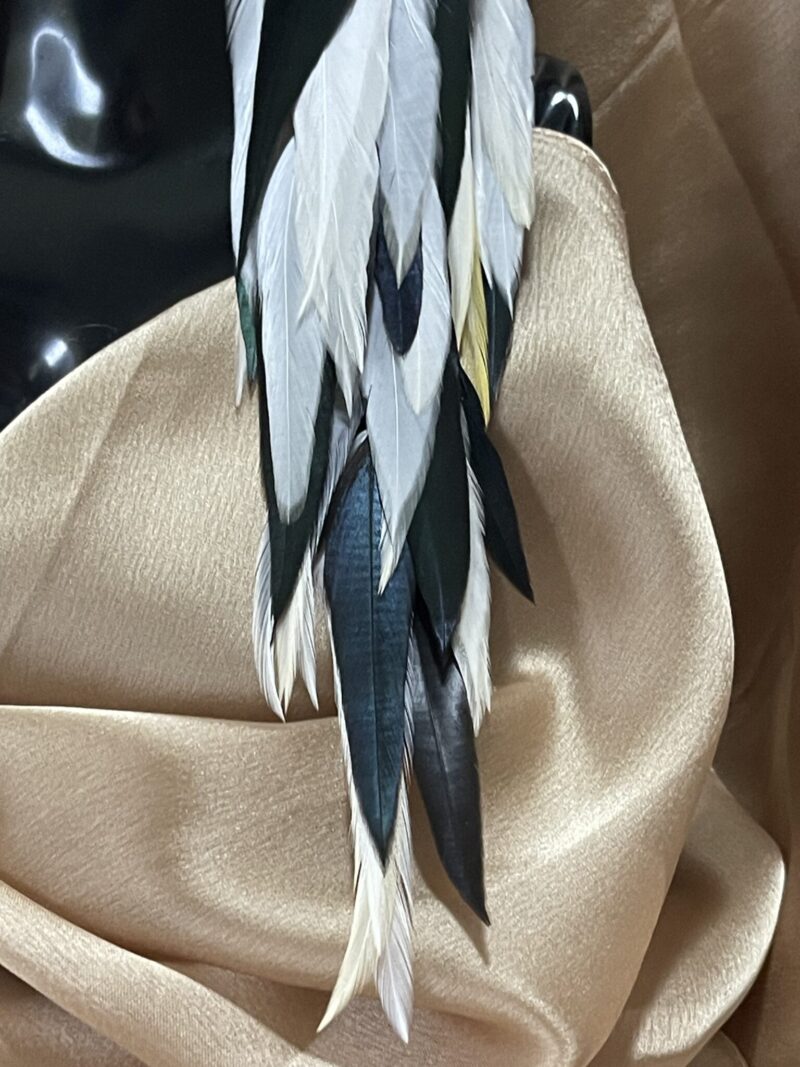 These are Peacock Princess Black and White Feather Earrings