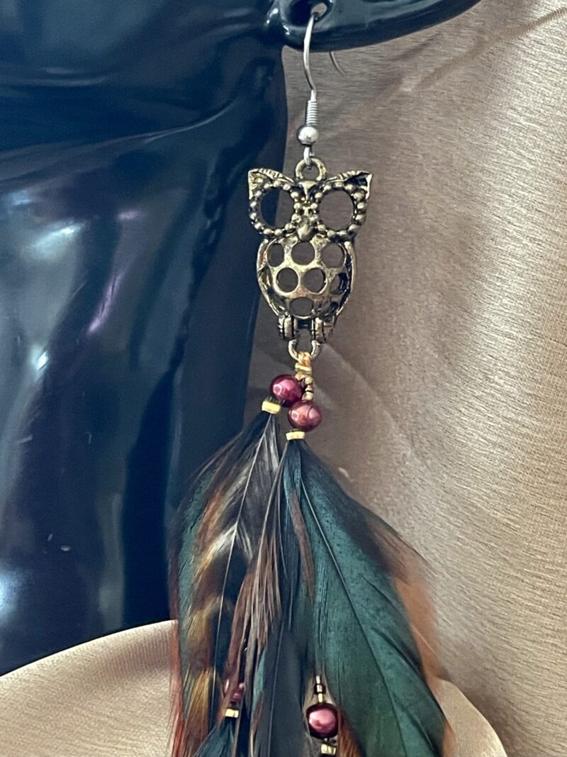 these are Owl Wisdom Brown Feather Earrings – A Symbol of Insight and Intuition