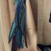 This is Turquoise Blue Brown Medium Feather Clip – Effortless Boho Elegance