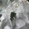 This is Awakened Light: Moldavite Herkimer Diamond Pendant in Silver M526