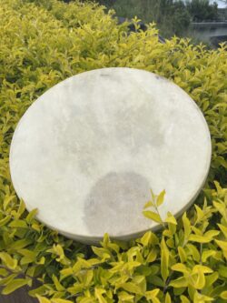 Harmonic Howl: Shamanic Drum with Wolf Handle