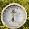 Harmonic Howl: Shamanic Drum with Wolf Handle