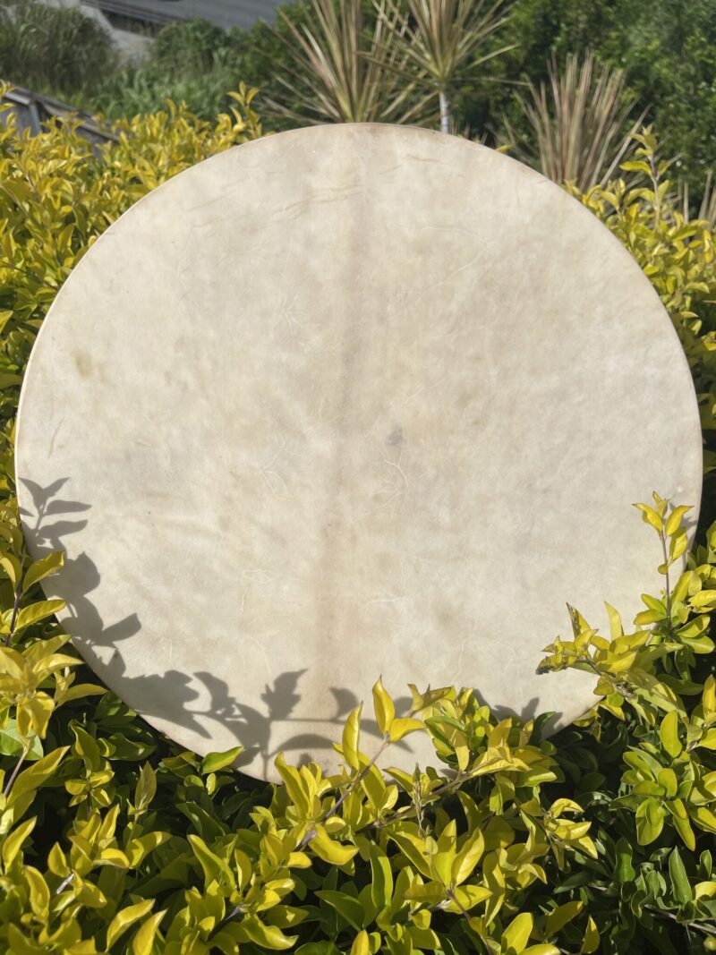 Sacred Resonance Shamanic Drum with Wolf Handle