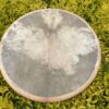 Sacred Creation Jaguar Buffalo Skin Ayahuasca Shamanic Drum