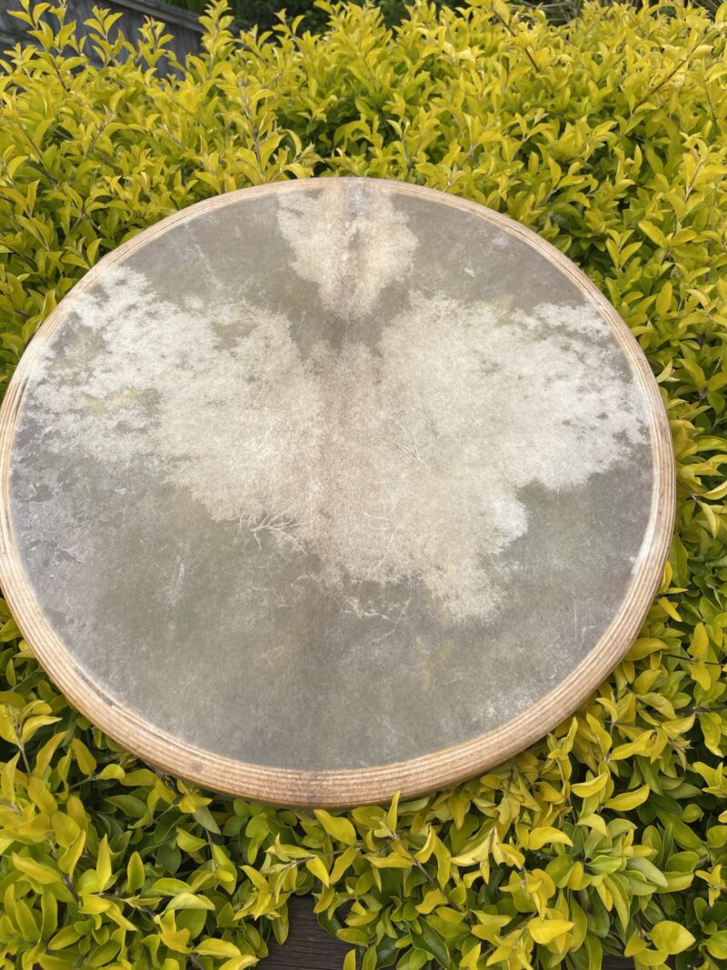 Sacred Creation Jaguar Buffalo Skin Ayahuasca Shamanic Drum