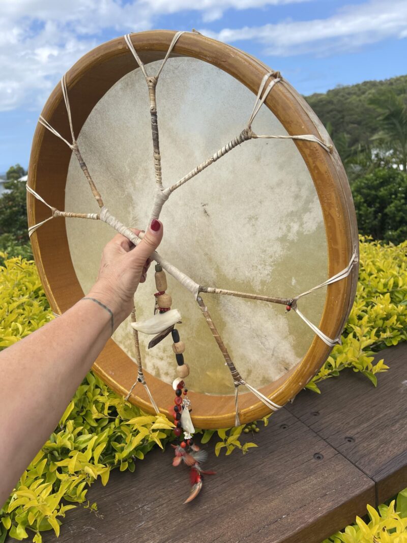 Sacred Creation Jaguar Buffalo Skin Ayahuasca Shamanic Drum