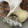 Fulgurite Specimen – A Rare Gift from Lightning