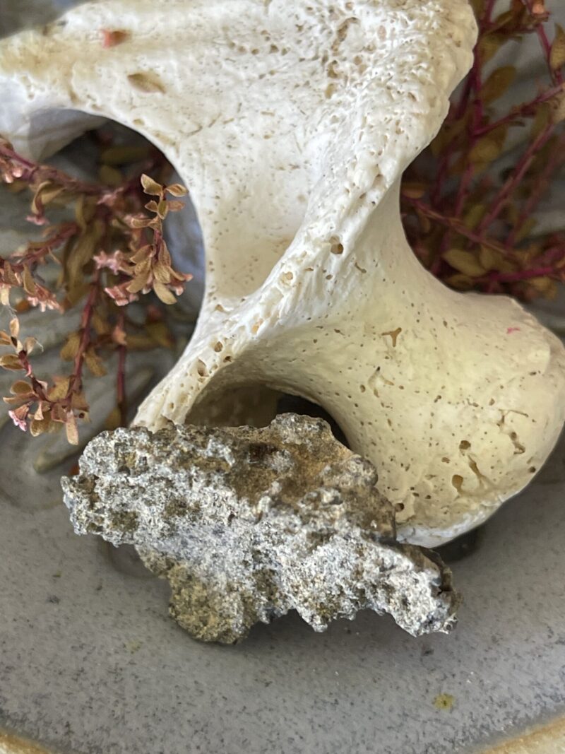 Fulgurite Specimen – A Rare Gift from Lightning