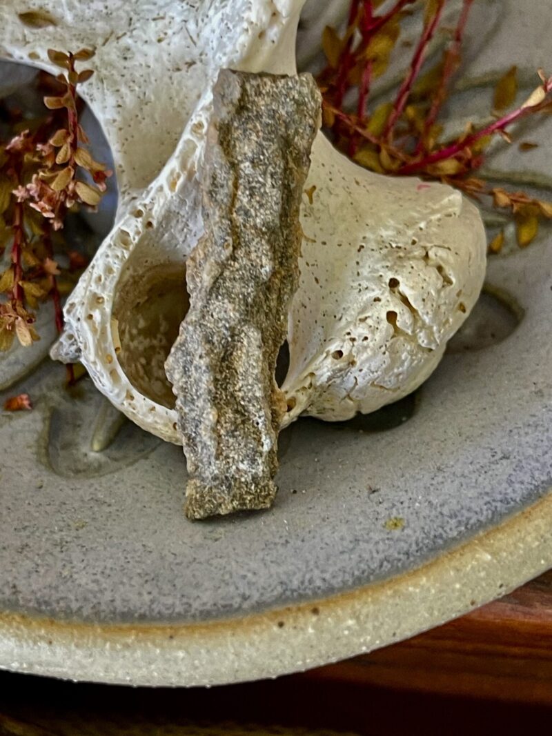 Fulgurite Tube – Nature’s Lightning Sculpture