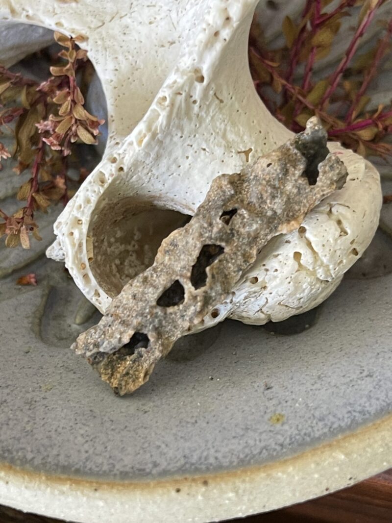 Fulgurite Tube – Nature’s Lightning Sculpture