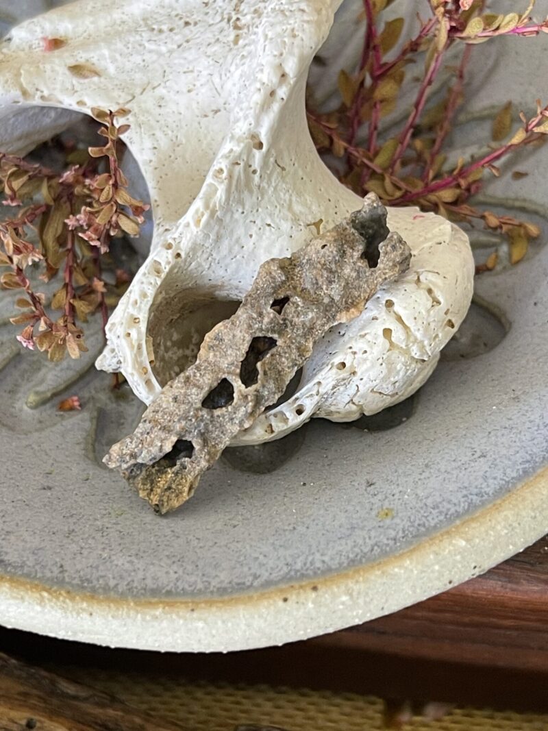 Fulgurite Tube – Nature’s Lightning Sculpture