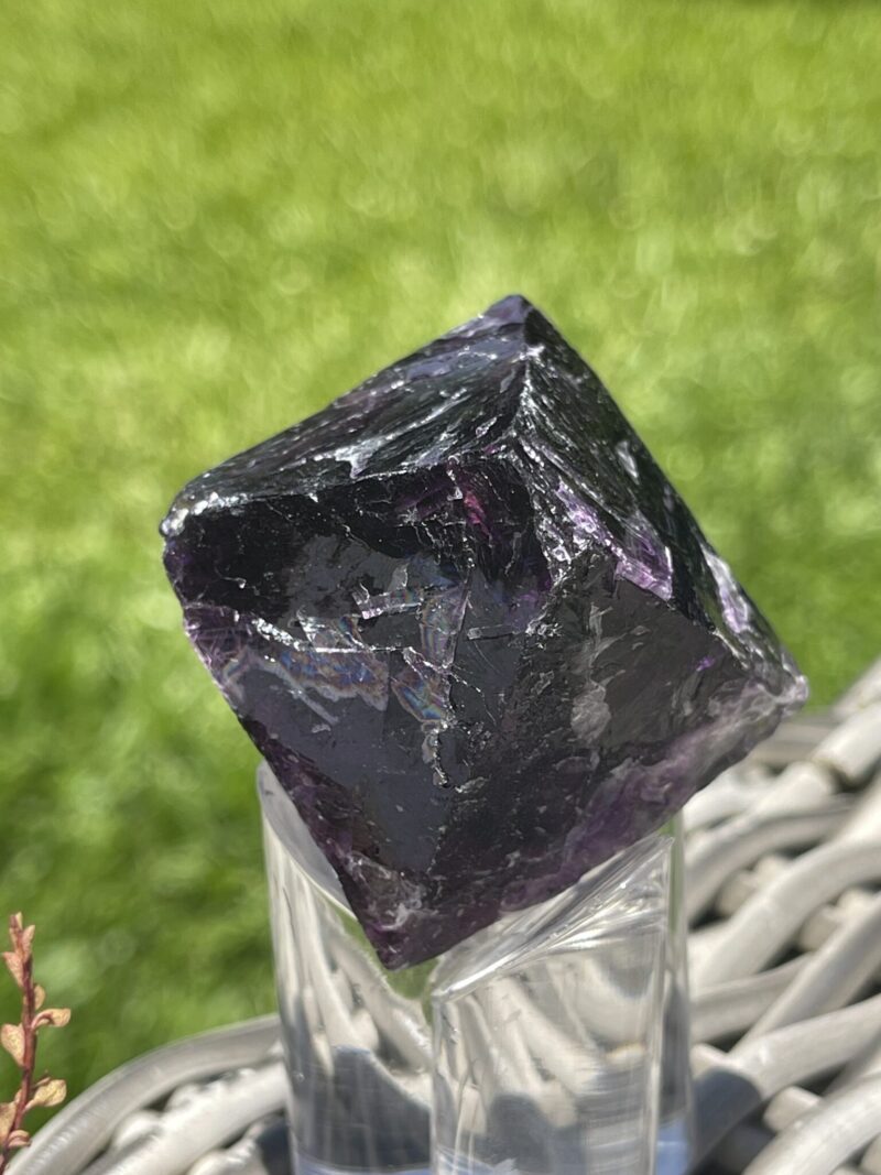 Mystical Deep Purple Octahedron – Approx. 56mm