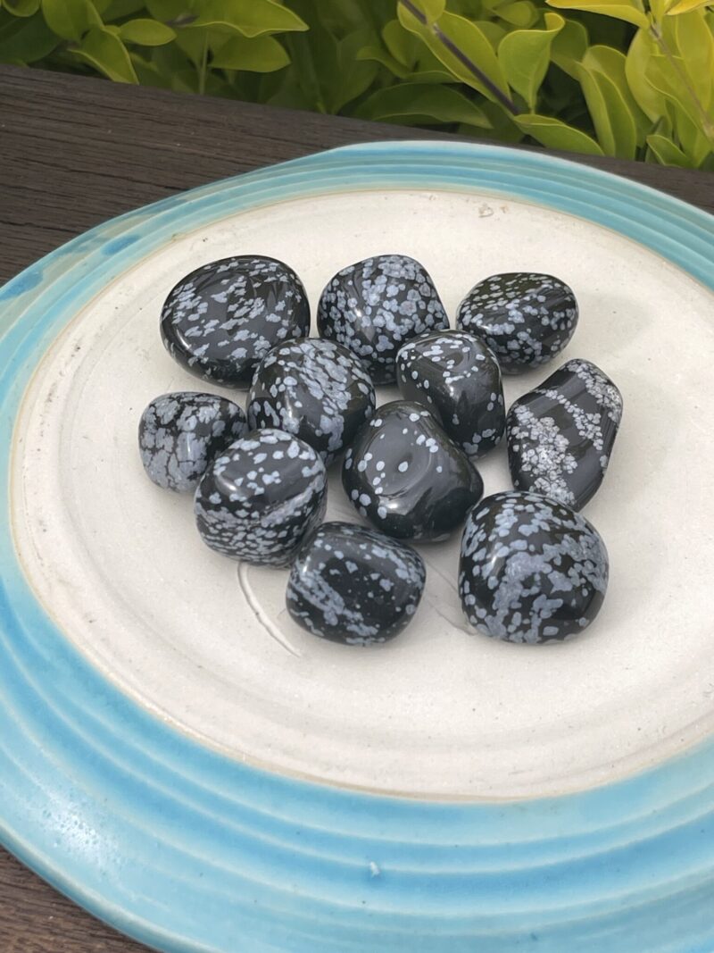 Shielded Serenity: Snowflake Obsidian 3-Pack