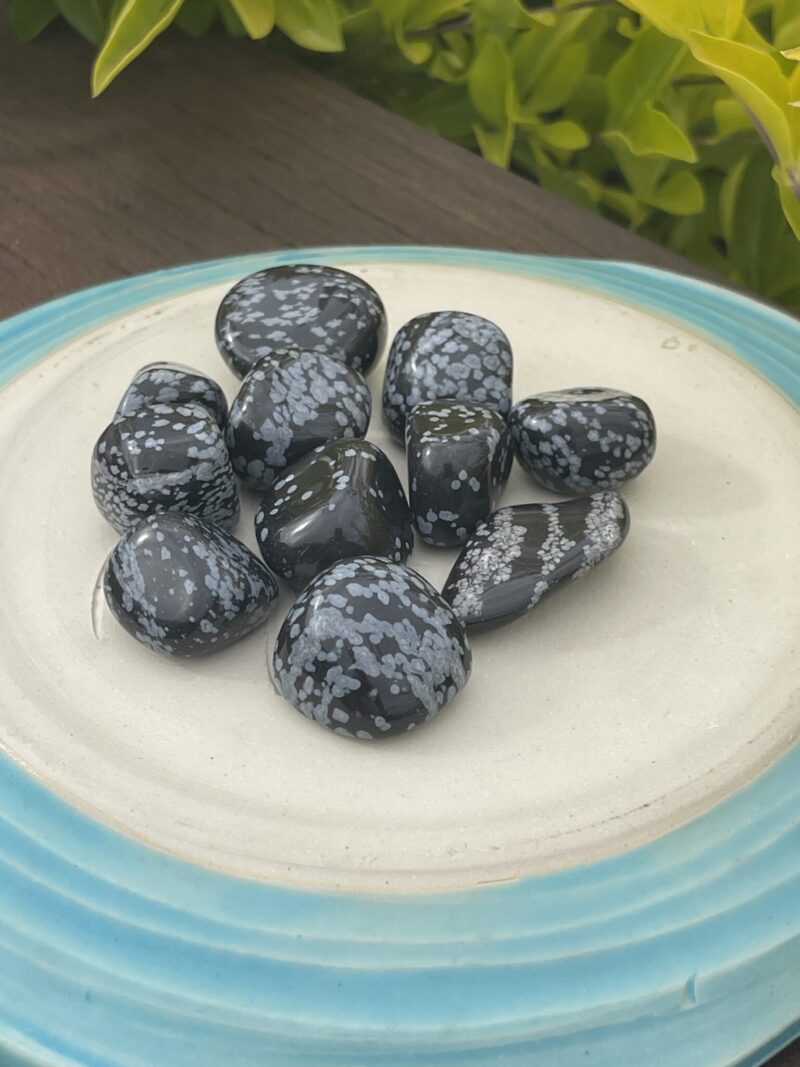 Shielded Serenity: Snowflake Obsidian 3-Pack