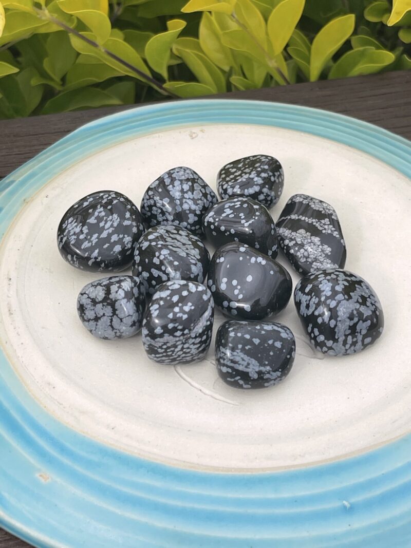 Shielded Serenity: Snowflake Obsidian 3-Pack