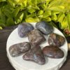 Pietersite Tumble Stone – The Tempest Stone for Transformation and Clarity