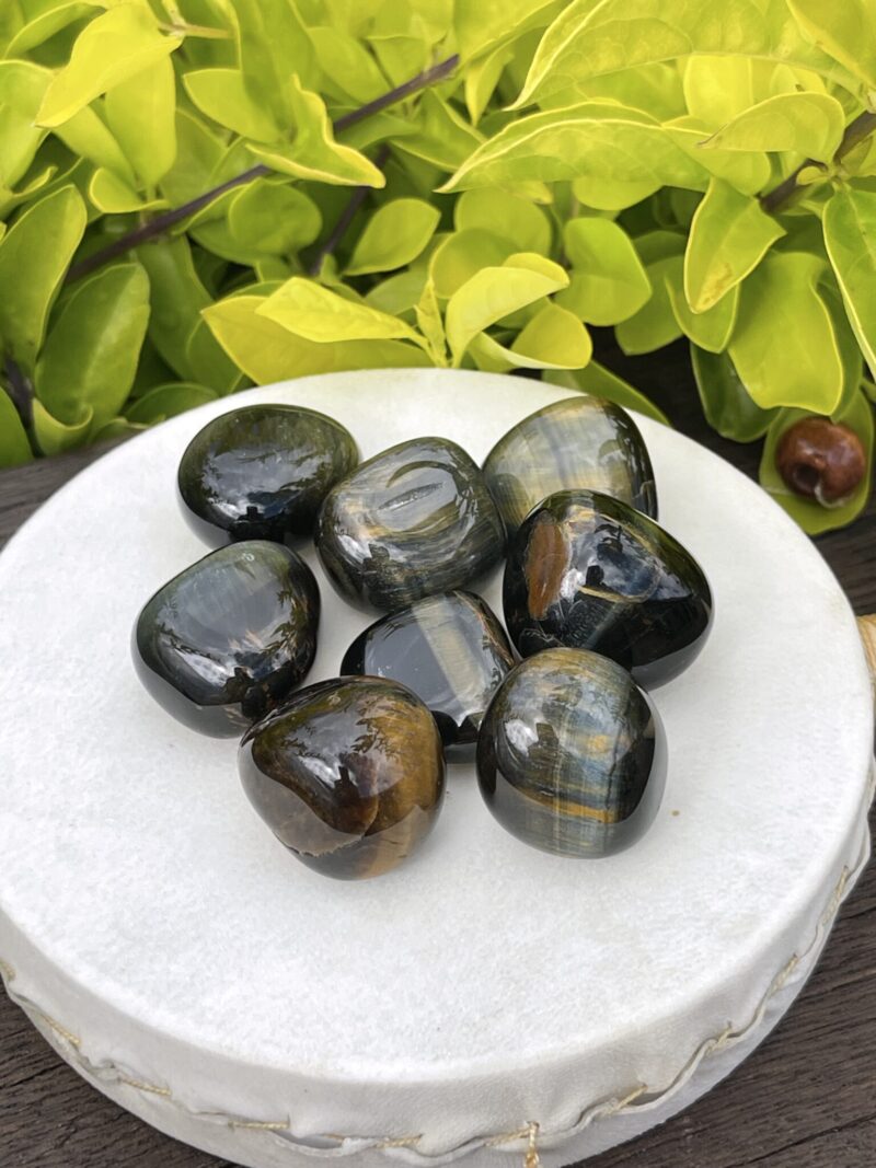 Blue Tiger Eye Tumble Stones (3-Pack) – Clarity, Confidence, and Calm