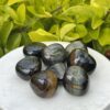 Blue Tiger Eye Tumble Stones (3-Pack) – Clarity, Confidence, and Calm