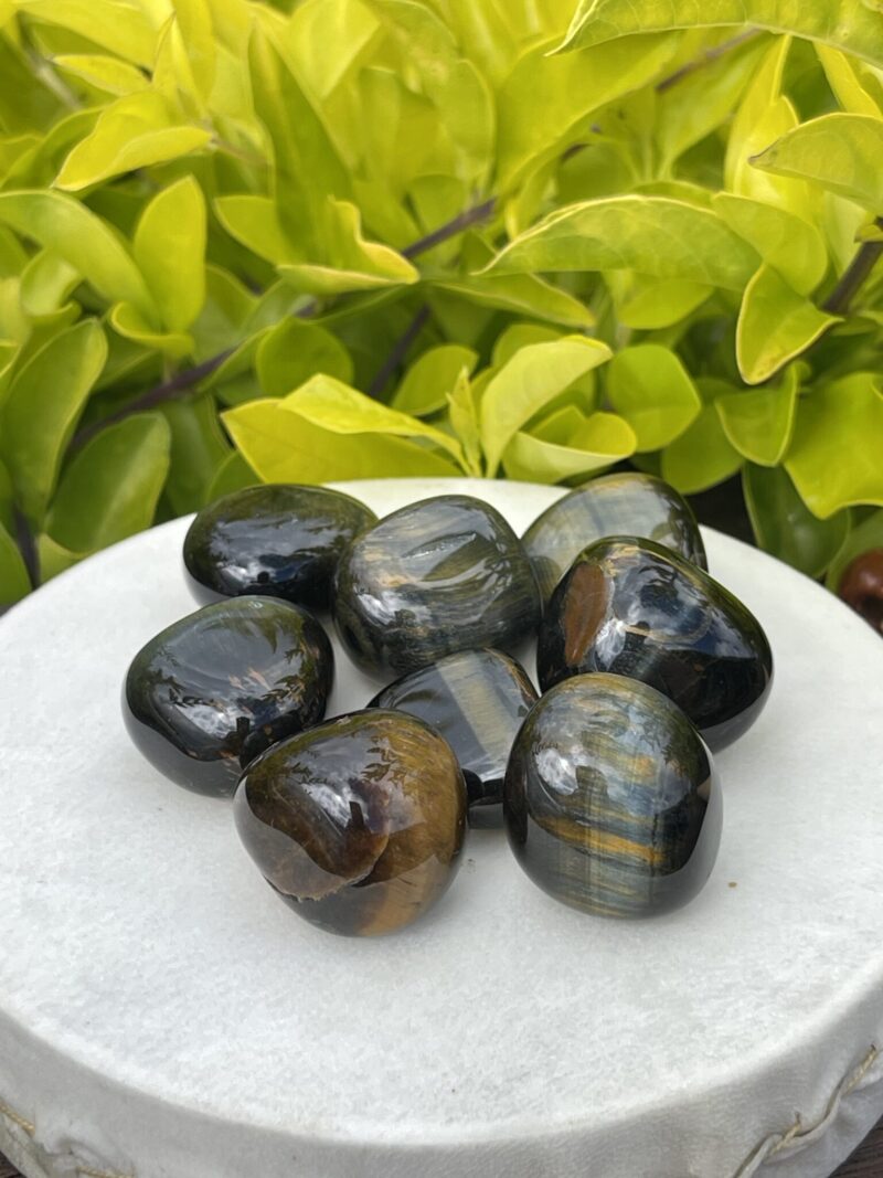 Blue Tiger Eye Tumble Stones (3-Pack) – Clarity, Confidence, and Calm