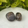 Stromatolite Tumble Stone – Ancient Wisdom and Grounding Energy