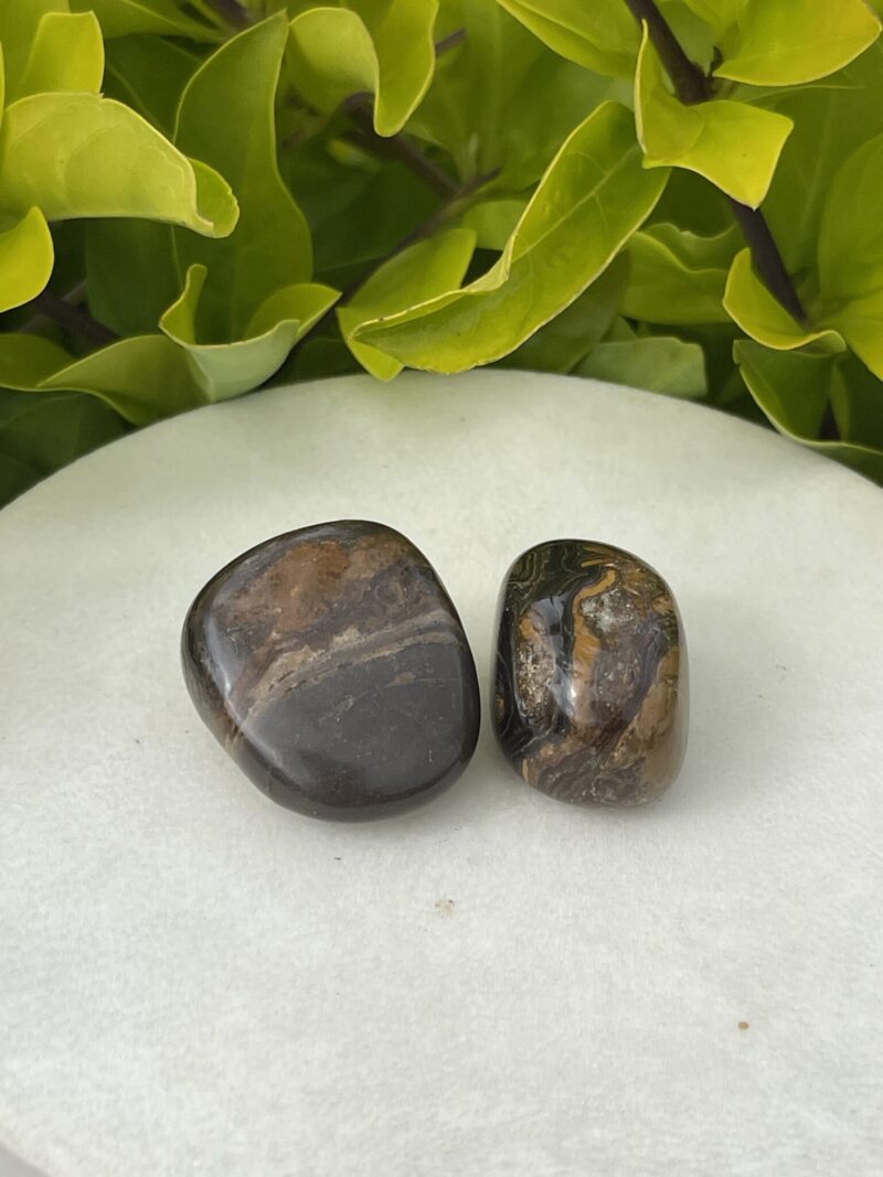 Stromatolite Tumble Stone – Ancient Wisdom and Grounding Energy