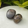 Stromatolite Tumble Stone – Ancient Wisdom and Grounding Energy