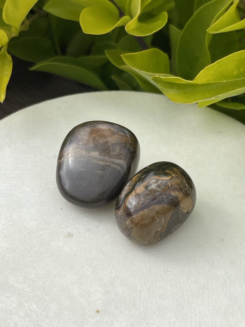 Stromatolite Tumble Stone – Ancient Wisdom and Grounding Energy