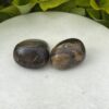 Stromatolite Tumble Stone – Ancient Wisdom and Grounding Energy