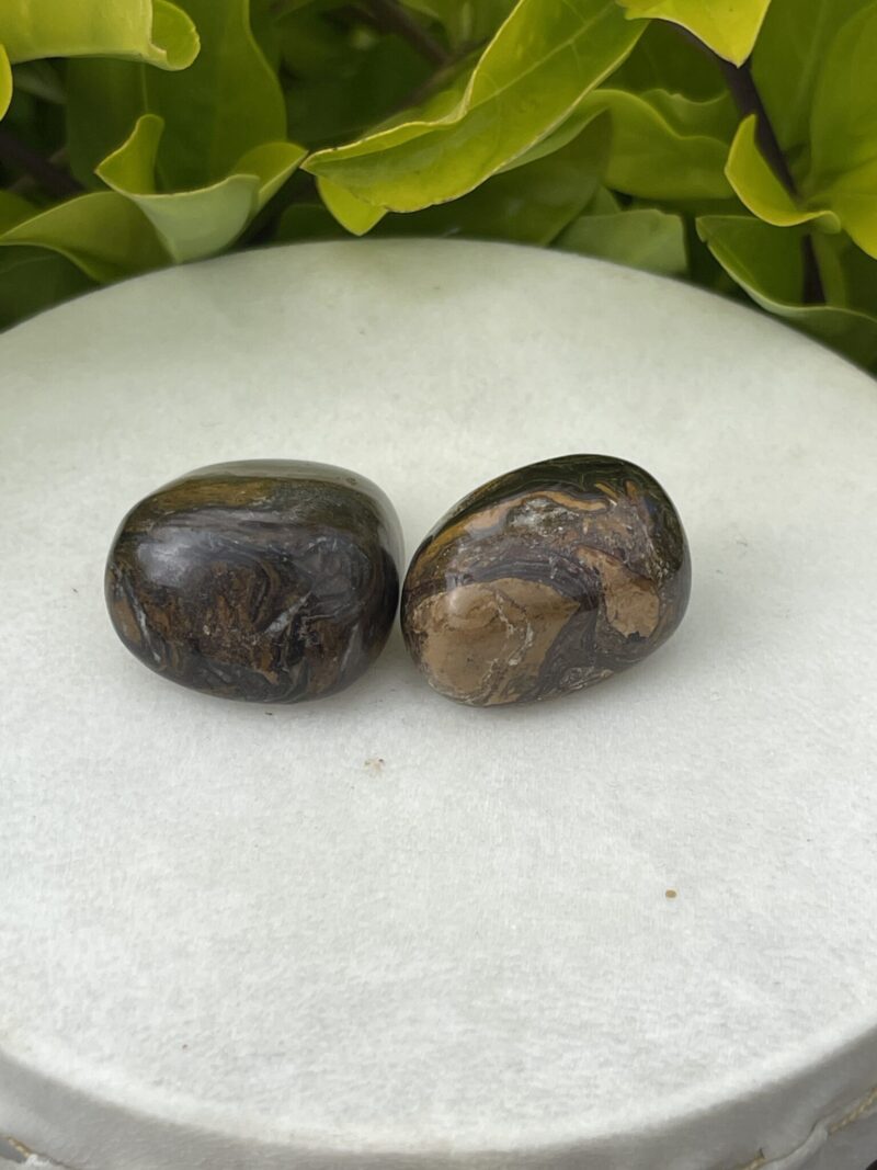 Stromatolite Tumble Stone – Ancient Wisdom and Grounding Energy