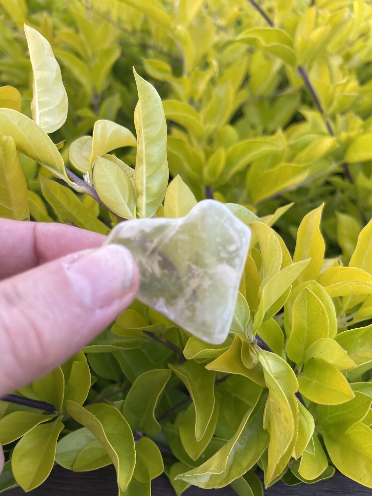 4cm Selenite Window – Seer's Stone Unveil the Mystical Power of Selenit