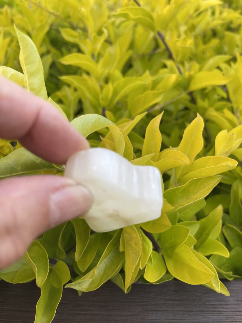 4cm Selenite Window – Seer's Stone Unveil the Mystical Power of Selenit