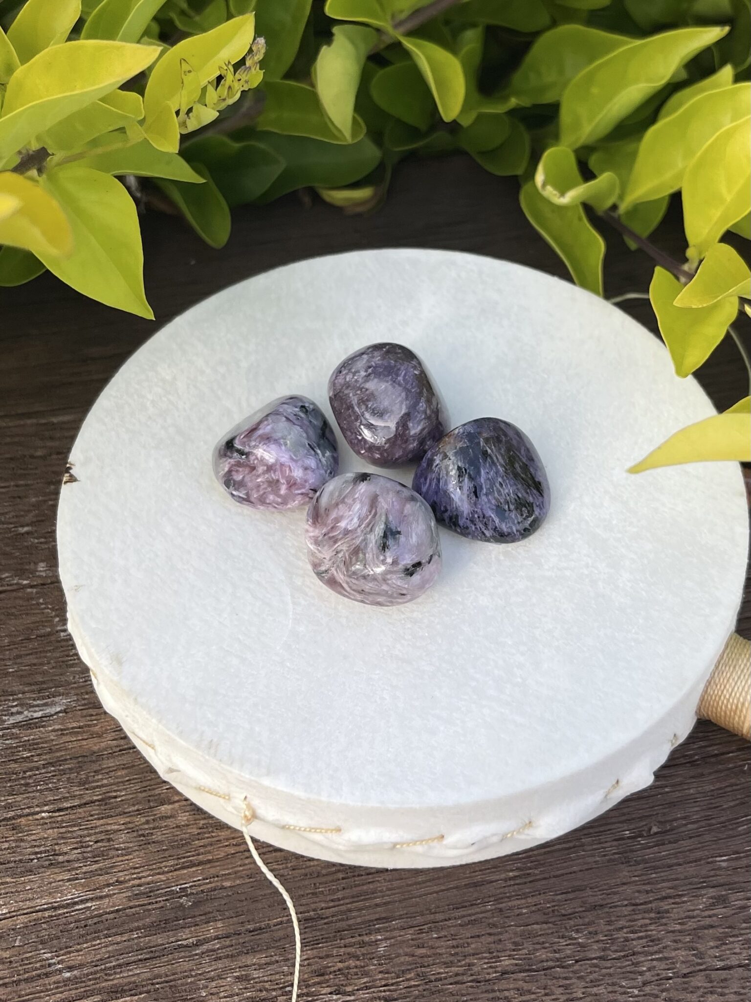 Stunning Charoite Tumblers (2-2.5cm): A Stone of Transformation, Intuition, and Spiritual Power