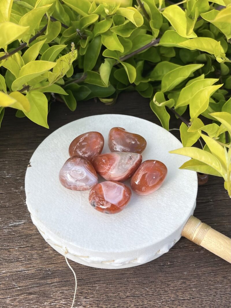 Carnelian Tumblers: Ignite Passion and Boost Confidence