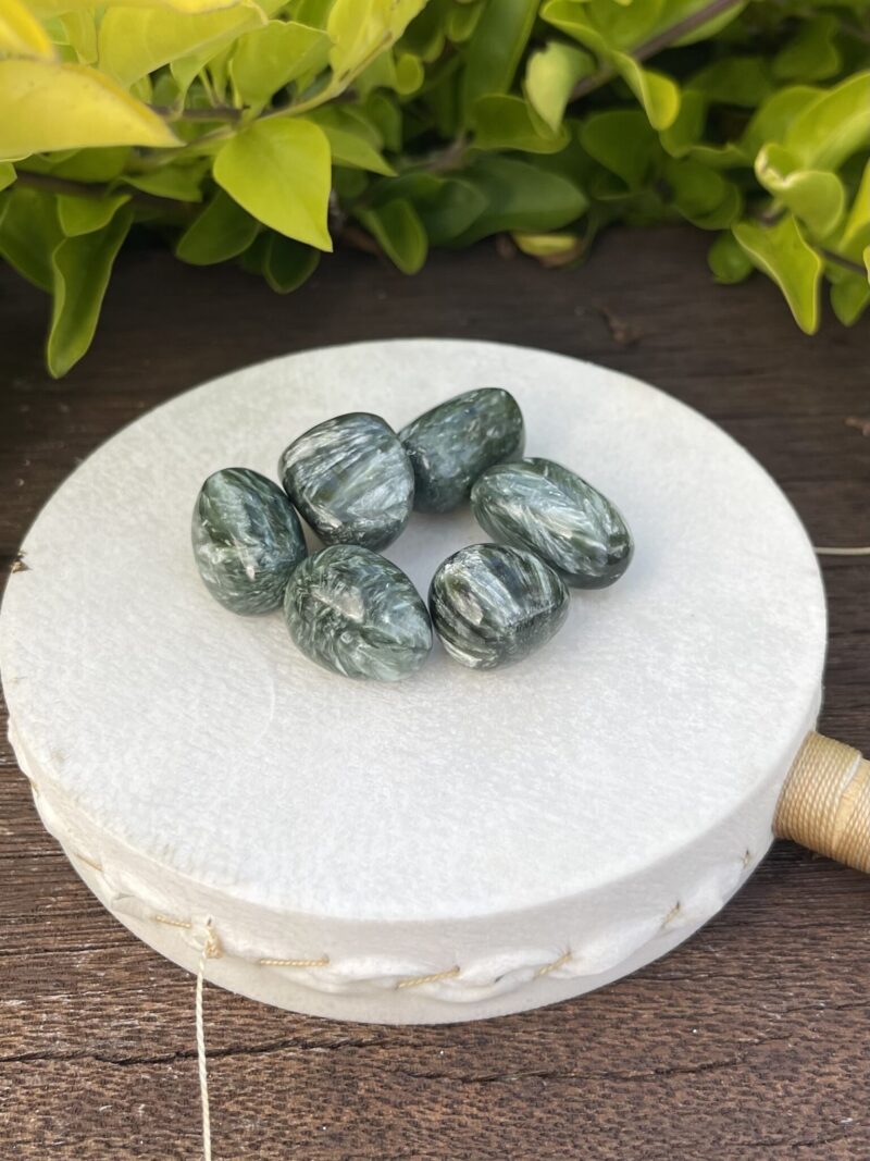 Seraphinite Tumblers – Wings of Divine Energy