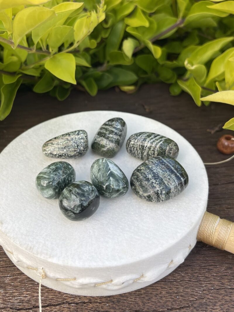 Seraphinite Tumblers – Wings of Divine Energy