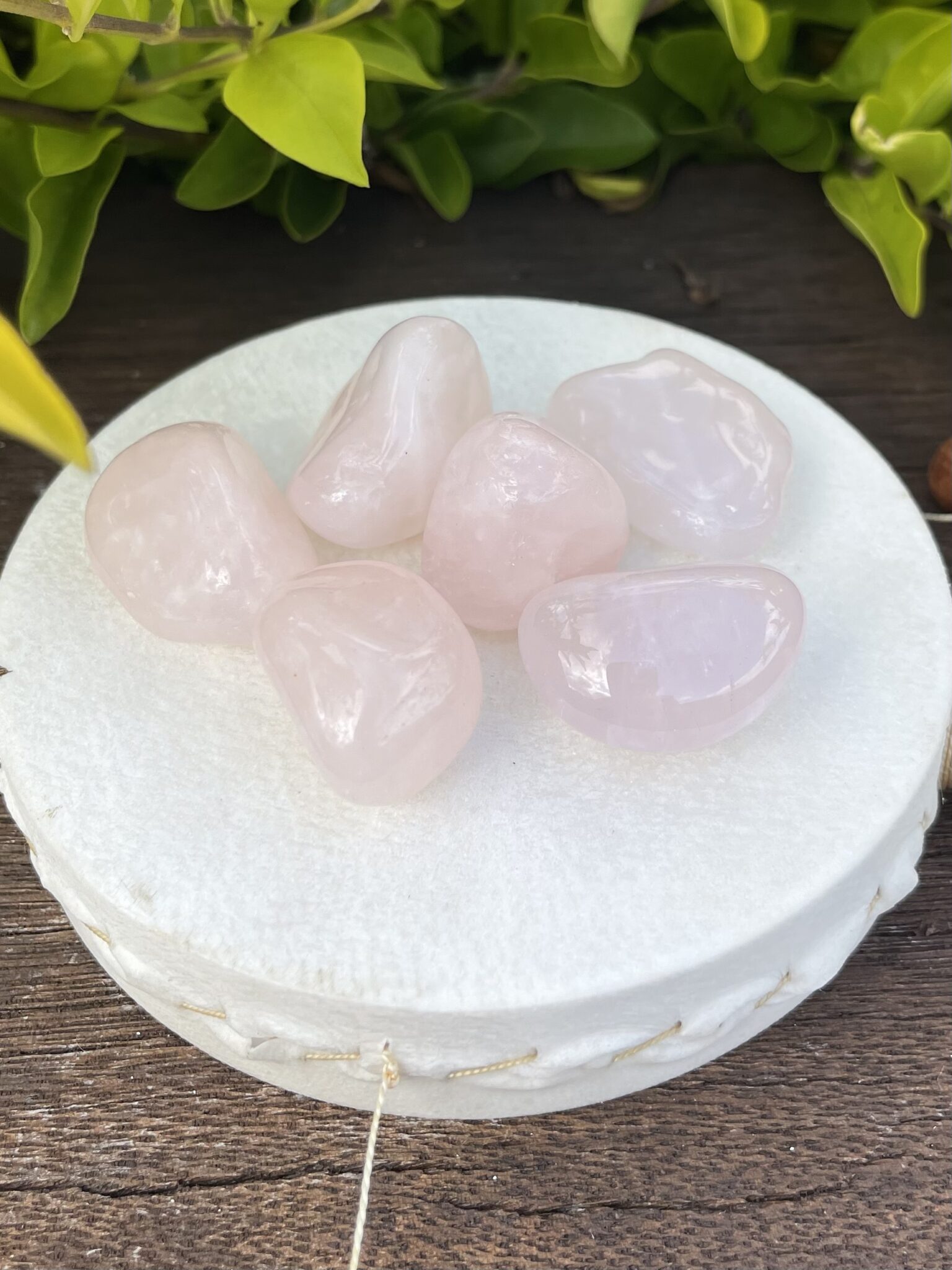 Discover the Gentle Energy of Rose Quartz Tumblers