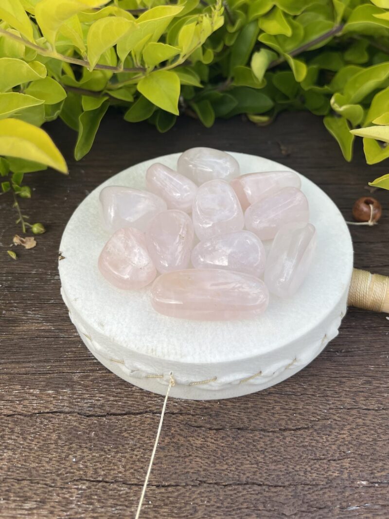 Discover the Gentle Energy of Rose Quartz Tumblers