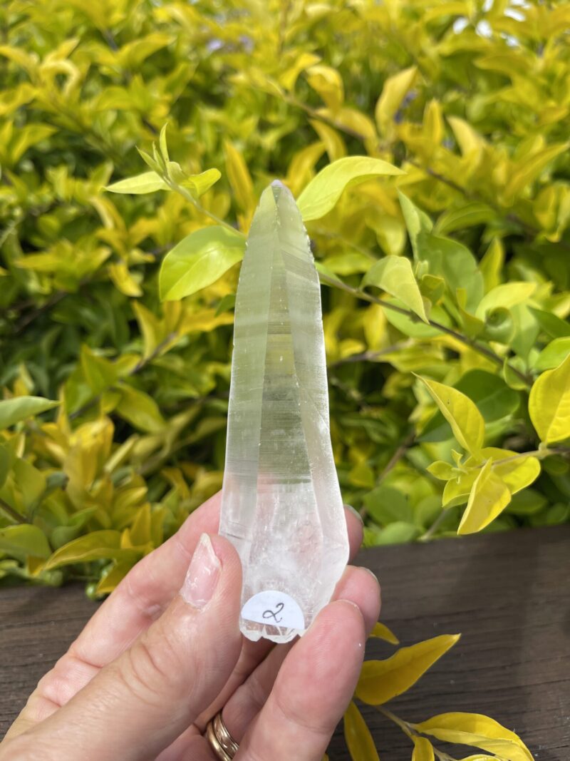 Lemurian Self-Healing Double-Terminated Master