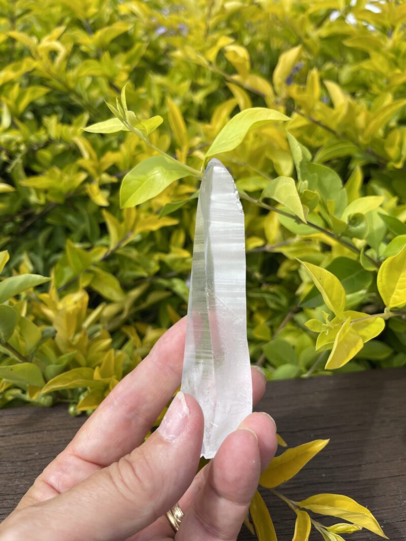 Lemurian Self-Healing Double-Terminated Master